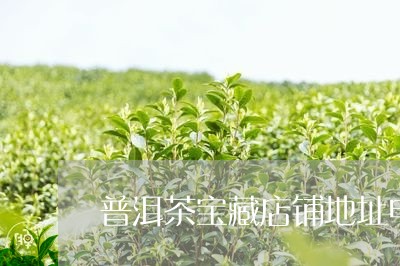 普洱茶宝藏店铺地址电话/2023081708282