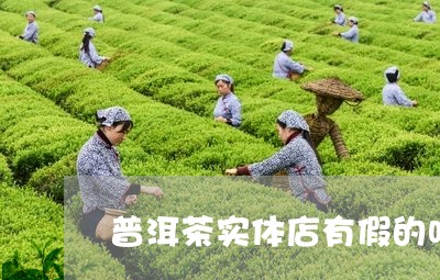 普洱茶实体店有假的吗/2023092849495