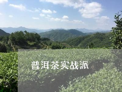 普洱茶实战派/2023101670615