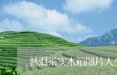 普洱茶实木箱图片大全集/2023103183058