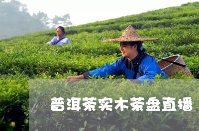 普洱茶实木茶盘直播/2023120449481