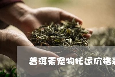 普洱茶宠物托运价格表大全/2023112545947