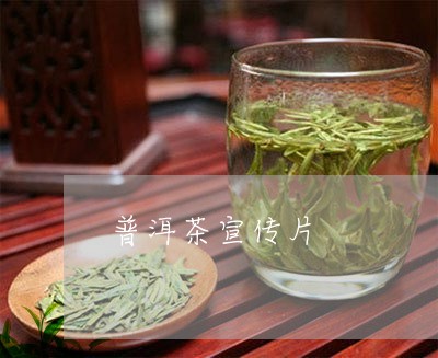 普洱茶宣传片/2023081881517