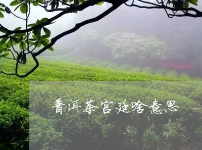 普洱茶宫廷啥意思/2023083052728