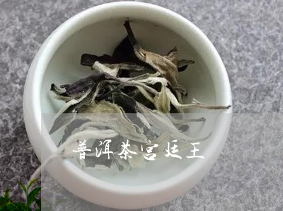 普洱茶宫廷王/2023042800661