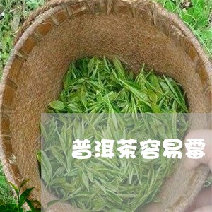 普洱茶容易霉/2023042820628