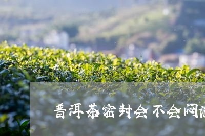 普洱茶密封会不会闷泡过/2023121634827