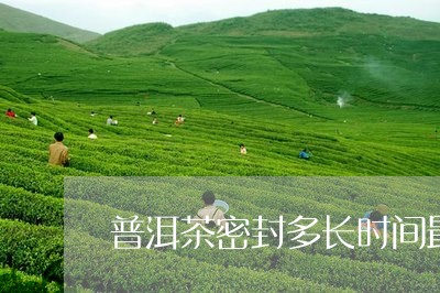 普洱茶密封多长时间最好/2023081608403