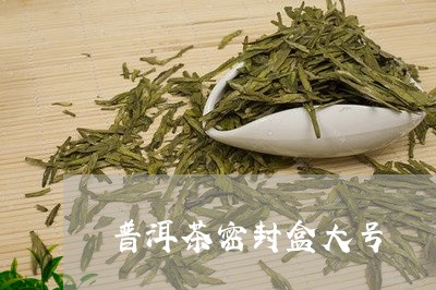 普洱茶密封盒大号/2023083072602