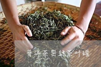 普洱茶密封茶叶罐/2023083025059