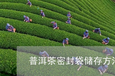 普洱茶密封袋储存方法/2023080238369