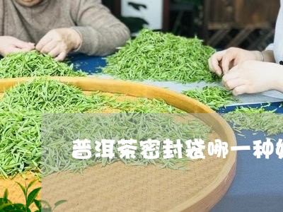 普洱茶密封袋哪一种好一点/2023112493846