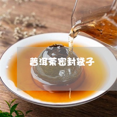 普洱茶密封袋子/2023112570703