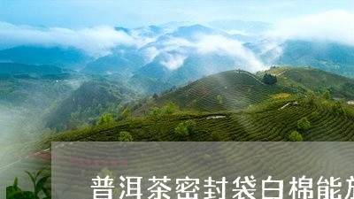 普洱茶密封袋白棉能放多久/2023081536250