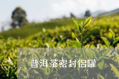 普洱茶密封铝罐/2023081816039