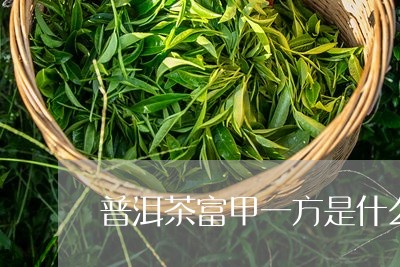 普洱茶富甲一方是什么茶/2023083068385