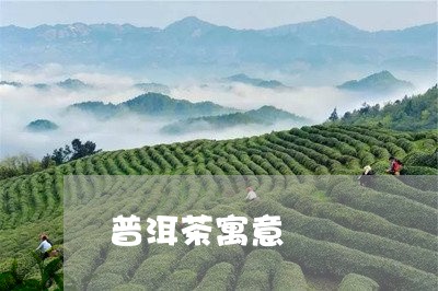 普洱茶寓意/2023090626352