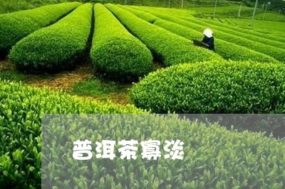 普洱茶寡淡/2023090578671