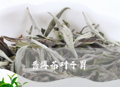 普洱茶对于胃/2023042662053