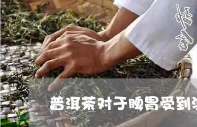 普洱茶对于脾胃受到湿气困/2023110432714