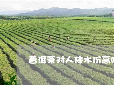 普洱茶对人体水份高吗/2023093060697