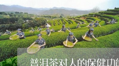 普洱茶对人的保健功能/2023062344849