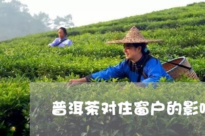 普洱茶对住窗户的影响/2023062301401