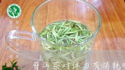 普洱茶对体力有消耗吗/2023092999594