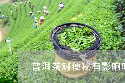 普洱茶对便秘有影响吗/2023072419260