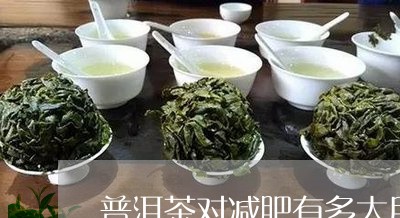 普洱茶对减肥有多大用/2023062140574