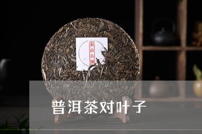 普洱茶对叶子/2023042715459