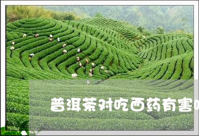 普洱茶对吃西药有害吗/2023062124138