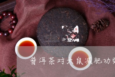 普洱茶对大鼠减肥功效/2023062755057