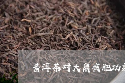 普洱茶对大鼠减肥功效/2023080359583