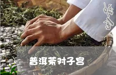 普洱茶对子宫/2023042967395