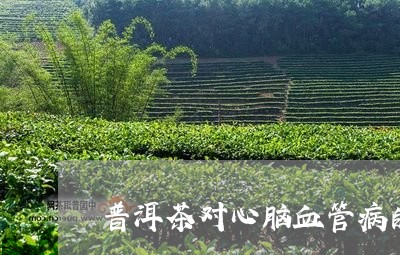 普洱茶对心脑血管病的好处/2023051183252