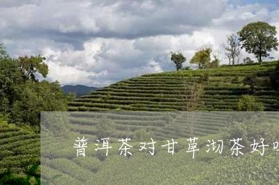 普洱茶对甘草沏茶好吗/2023080171704