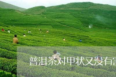 普洱茶对甲状又没有害/2023072216059