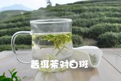 普洱茶对白斑/2023042730008