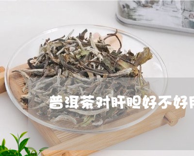 普洱茶对肝胆好不好用什么泡/2023052868572