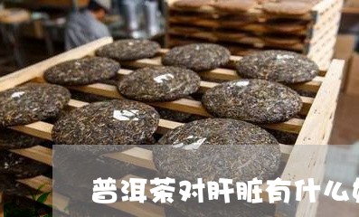 普洱茶对肝脏有什么好处和坏处吗/2023112656248