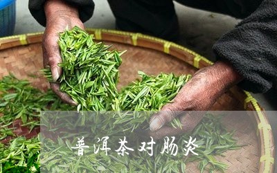 普洱茶对肠炎/2023042684211