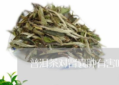 普洱茶对肾囊肿有害吗/2023092741604