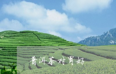 普洱茶对胃好/2023042952412