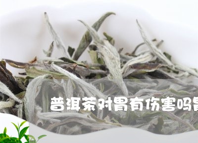 普洱茶对胃有伤害吗胃/2023093095160