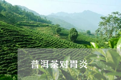 普洱茶对胃炎/2023042889640