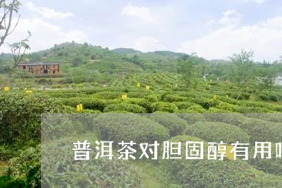 普洱茶对胆固醇有用吗/2023092784259