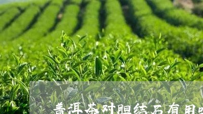 普洱茶对胆结石有用吗/2023061827480