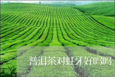 普洱茶对蛀牙好吗吗/2023071005370