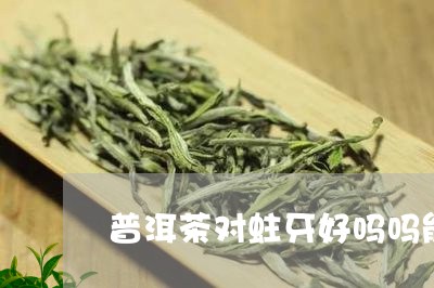 普洱茶对蛀牙好吗吗能喝吗/2023083018693